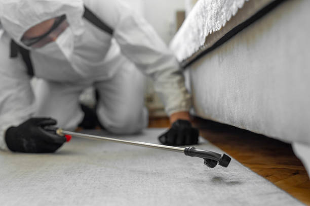 Professional Bed Bug Control technician working in Waushara County County, WI